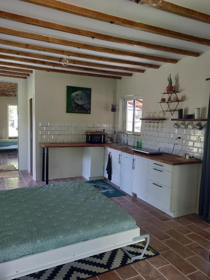 欧什Chez Chapelle In The Heart Of The Gascony With Pool And Hot Tub公寓 外观 照片