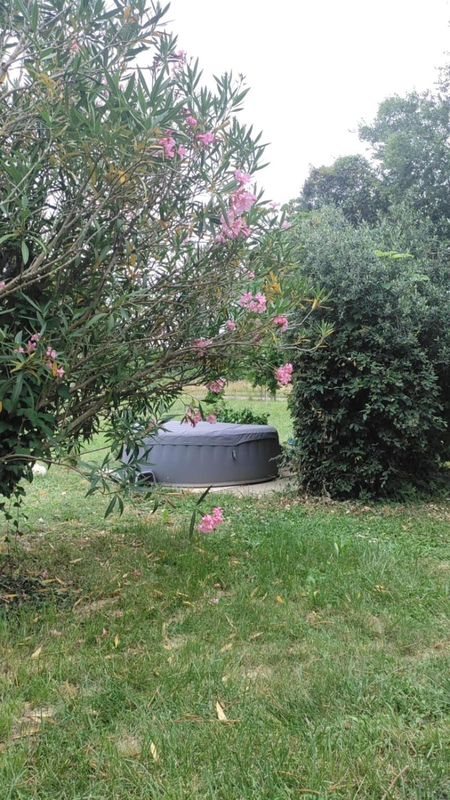 欧什Chez Chapelle In The Heart Of The Gascony With Pool And Hot Tub公寓 外观 照片